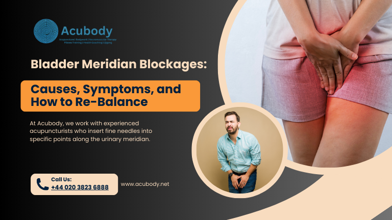 urinary bladder meridian