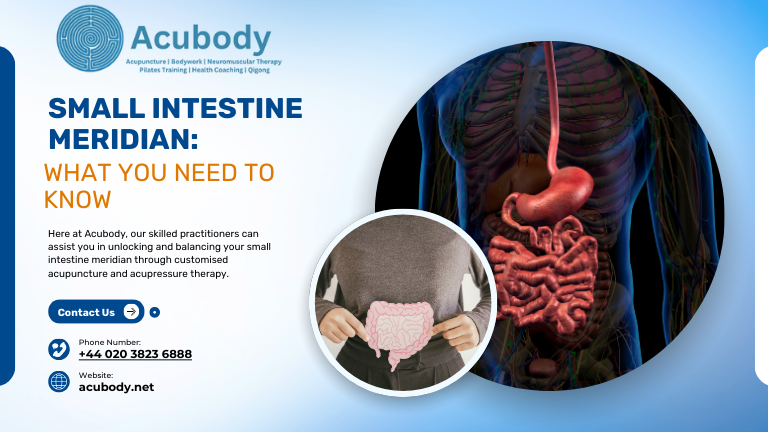 Small intestine meridian points